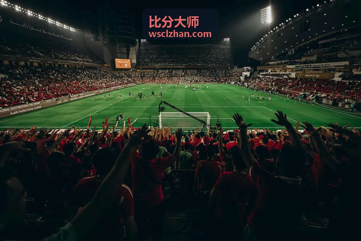 比分大师阿根廷国家队