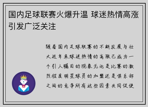 国内足球联赛火爆升温 球迷热情高涨引发广泛关注